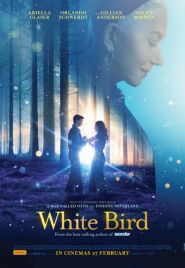 White Bird